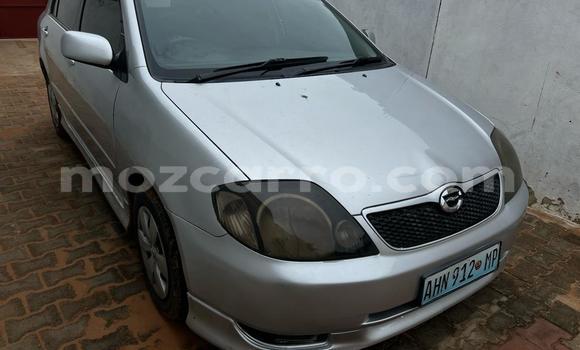 Comprar Usado Toyota Runx Prata Carro em Maputo em Maputo Comprar Usado Toyota Runx Prata Carro em Maputo em Maputo