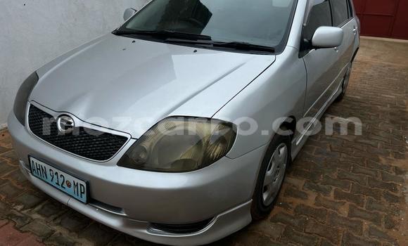 Comprar Usado Toyota Runx Prata Carro em Maputo em Maputo Comprar Usado Toyota Runx Prata Carro em Maputo em Maputo