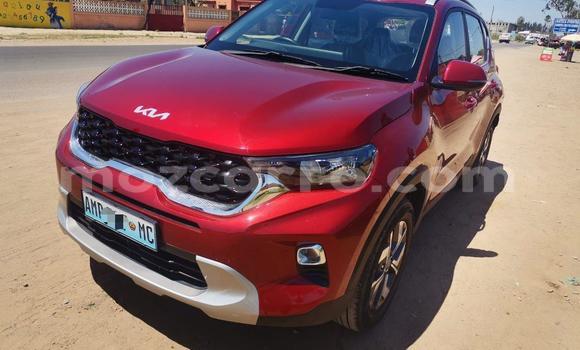 Buy Used Kia Stonic Red Car in Maputo in Maputo
