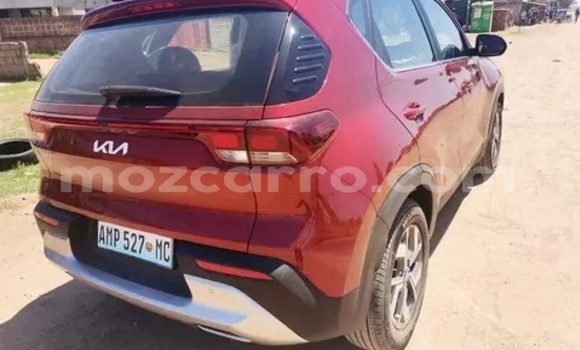 Buy New Kia Sorento Red Car in Maputo in Maputo Buy New Kia Sorento Red Car in Maputo in Maputo