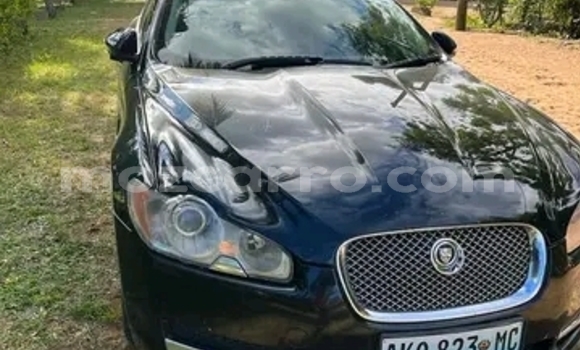 Tenga Tsaru Jaguar XF Nhema Mota in Maputo in Maputo Tenga Tsaru Jaguar XF Nhema Mota in Maputo in Maputo