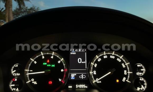 Buy New Toyota Land Cruiser White Car in Maputo in Maputo Buy New Toyota Land Cruiser White Car in Maputo in Maputo