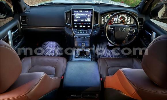 Buy New Toyota Land Cruiser White Car in Maputo in Maputo Buy New Toyota Land Cruiser White Car in Maputo in Maputo