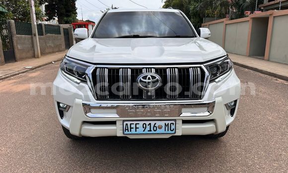 Tenga Itsva Toyota Land Cruiser Prado Chena Mota in Maputo in Maputo Tenga Itsva Toyota Land Cruiser Prado Chena Mota in Maputo in Maputo