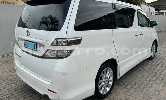 Tenga Tsaru Toyota Vellfire Chena Mota in Maputo in Maputo Tenga Tsaru Toyota Vellfire Chena Mota in Maputo in Maputo