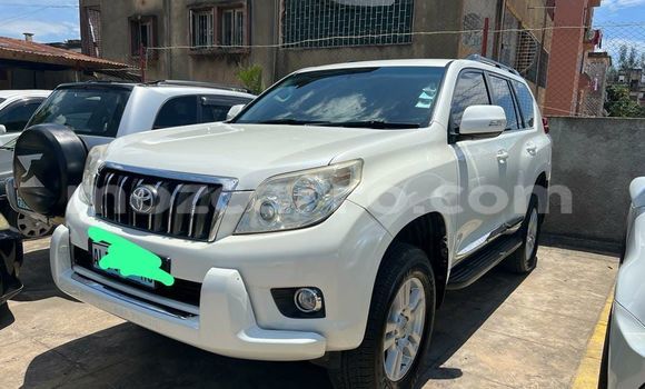 Buy Used Toyota Prado White Car in Maputo in Maputo Buy Used Toyota Prado White Car in Maputo in Maputo