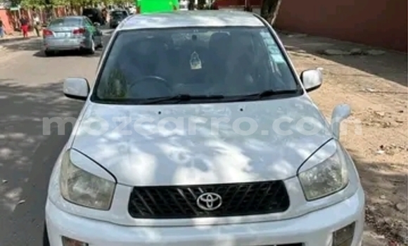Buy Used Toyota RAV4 White Car in Maputo in Maputo