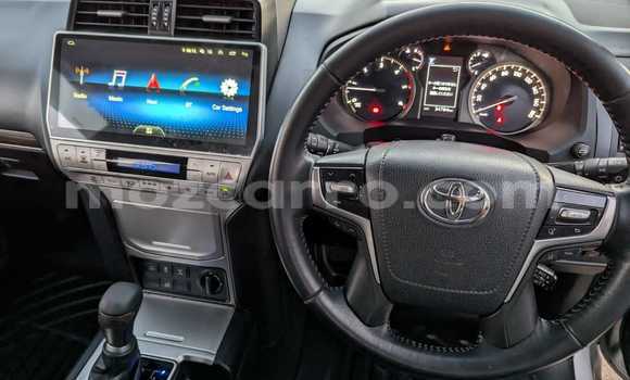 Buy Used Toyota Prado Other Car in Maputo in Maputo Buy Used Toyota Prado Other Car in Maputo in Maputo