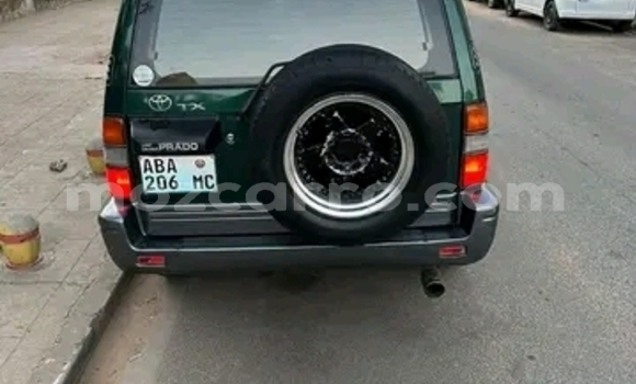 Tenga Tsaru Toyota Land Cruiser Prado Girinhi Mota in Maputo in Maputo Tenga Tsaru Toyota Land Cruiser Prado Girinhi Mota in Maputo in Maputo