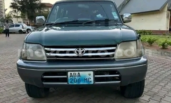 Tenga Tsaru Toyota Land Cruiser Prado Girinhi Mota in Maputo in Maputo Tenga Tsaru Toyota Land Cruiser Prado Girinhi Mota in Maputo in Maputo