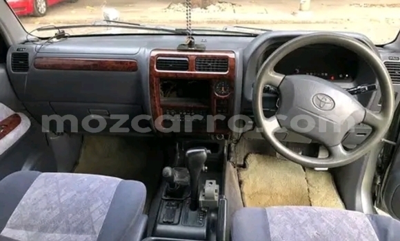 Tenga Tsaru Toyota Land Cruiser Prado Girinhi Mota in Maputo in Maputo Tenga Tsaru Toyota Land Cruiser Prado Girinhi Mota in Maputo in Maputo