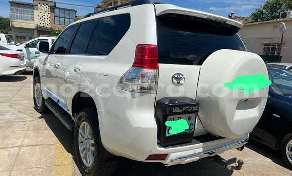 Nunua Ilio tumika Toyota Prado Nyeupe Gari ndani ya Maputo nchini Maputo Nunua Ilio tumika Toyota Prado Nyeupe Gari ndani ya Maputo nchini Maputo