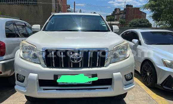 Nunua Ilio tumika Toyota Prado Nyeupe Gari ndani ya Maputo nchini Maputo Nunua Ilio tumika Toyota Prado Nyeupe Gari ndani ya Maputo nchini Maputo