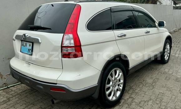 Buy Used Honda CR-V White Car in Maputo in Maputo Buy Used Honda CR-V White Car in Maputo in Maputo