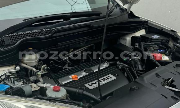 Buy Used Honda CR-V White Car in Maputo in Maputo Buy Used Honda CR-V White Car in Maputo in Maputo