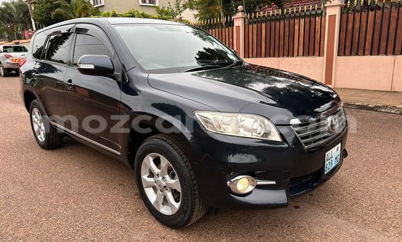 Tenga Tsaru Toyota Vanguard Zvimwe Mota in Maputo in Maputo