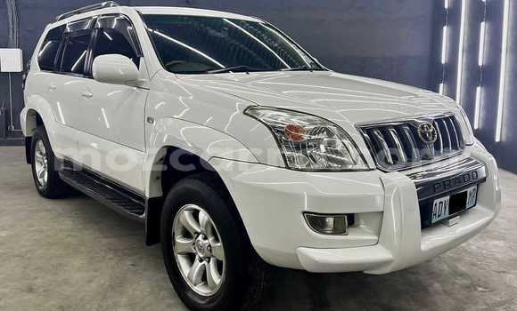 Tenga Tsaru Toyota Prado Chena Mota in Maputo in Maputo