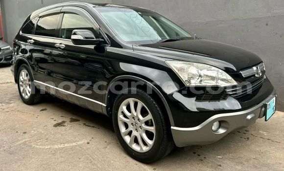 「#期間限定」のおすすめ人気ランキング Cars mozcarro - mozambique in sale for アイドル