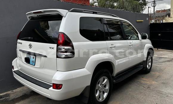 Buy Used Toyota Prado White Car in Maputo in Maputo Buy Used Toyota Prado White Car in Maputo in Maputo