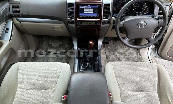 Buy Used Toyota Prado White Car in Maputo in Maputo Buy Used Toyota Prado White Car in Maputo in Maputo