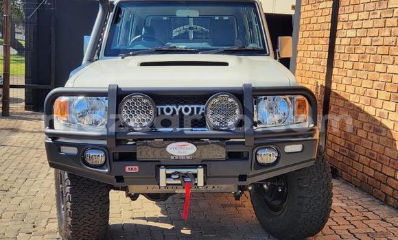 Buy Used Toyota Land Cruiser Other Car in Maputo in Maputo Buy Used Toyota Land Cruiser Other Car in Maputo in Maputo