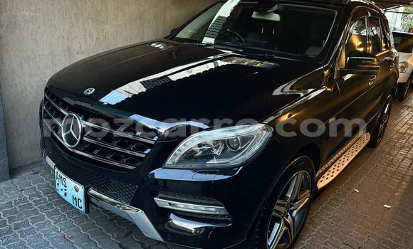 Tenga Itsva Mercedes Viano Nhema Mota in Maputo in Maputo Tenga Itsva Mercedes Viano Nhema Mota in Maputo in Maputo