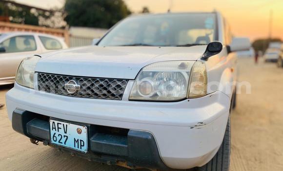 Comprar Usado Nissan X-Trail De outros Carro em Maputo em Maputo Comprar Usado Nissan X-Trail De outros Carro em Maputo em Maputo