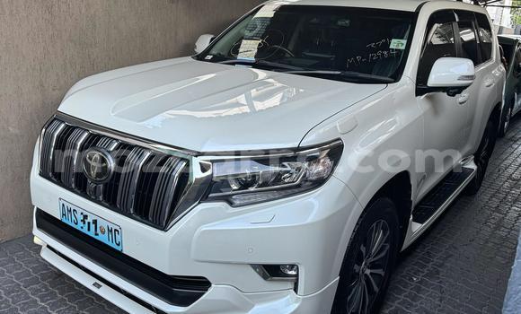 Comprar Novo Toyota Prado Bege Carro em Maputo em Maputo