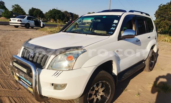 Comprar Usado Toyota Land Cruiser Prado Branco Carro em Maputo em Maputo