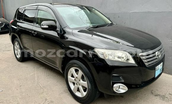 Tenga Tsaru Toyota Vanguard Nhema Mota in Maputo in Maputo