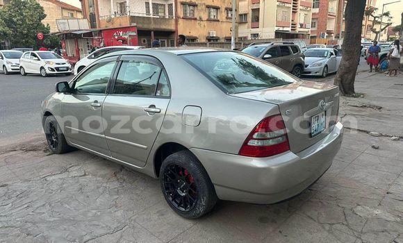 Comprar Usado Toyota Corolla De outros Carro em Maputo em Maputo Comprar Usado Toyota Corolla De outros Carro em Maputo em Maputo