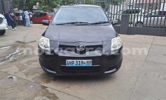 Tenga Tsaru Toyota Auris Nhema Mota in Maputo in Maputo Tenga Tsaru Toyota Auris Nhema Mota in Maputo in Maputo