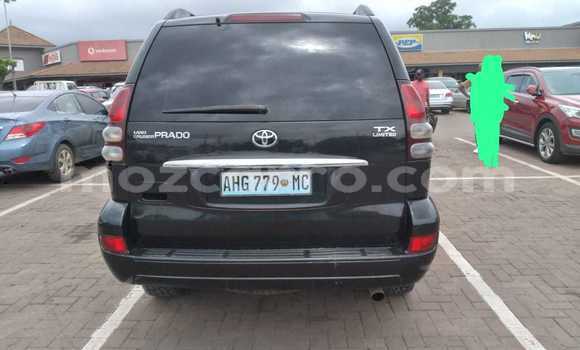 Tenga Tsaru Toyota Land Cruiser Prado Nhema Mota in Maputo in Maputo Tenga Tsaru Toyota Land Cruiser Prado Nhema Mota in Maputo in Maputo