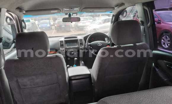 Tenga Tsaru Toyota Land Cruiser Prado Nhema Mota in Maputo in Maputo Tenga Tsaru Toyota Land Cruiser Prado Nhema Mota in Maputo in Maputo