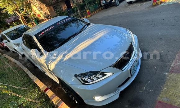 Comprar Usado Lexus IS Branco Carro em Maputo em Maputo Comprar Usado Lexus IS Branco Carro em Maputo em Maputo