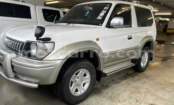Buy Used Toyota Land Cruiser Prado White Car in Maputo in Maputo Buy Used Toyota Land Cruiser Prado White Car in Maputo in Maputo