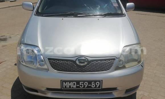 Comprar Usado Toyota Runx De outros Carro em Bela Vista em Maputo Comprar Usado Toyota Runx De outros Carro em Bela Vista em Maputo