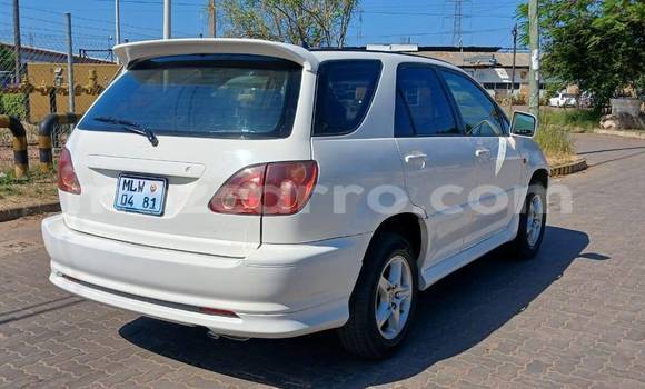 Comprar Usado Toyota Harrier Branco Carro em Bela Vista em Maputo