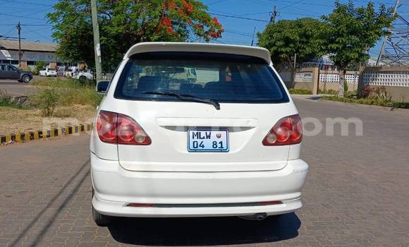 Comprar Usado Toyota Harrier Branco Carro em Bela Vista em Maputo Comprar Usado Toyota Harrier Branco Carro em Bela Vista em Maputo