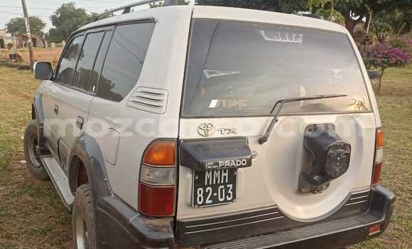 Buy Used Toyota Land Cruiser Prado Other Car in Maputo in Maputo
