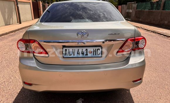 Nunua Ilio tumika Toyota Corolla Nyingine Gari ndani ya Maputo nchini Maputo Nunua Ilio tumika Toyota Corolla Nyingine Gari ndani ya Maputo nchini Maputo