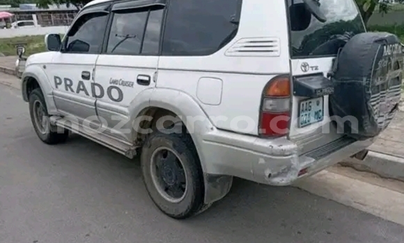 Tenga Tsaru Toyota Land Cruiser Prado Chena Mota in Maputo in Maputo Tenga Tsaru Toyota Land Cruiser Prado Chena Mota in Maputo in Maputo