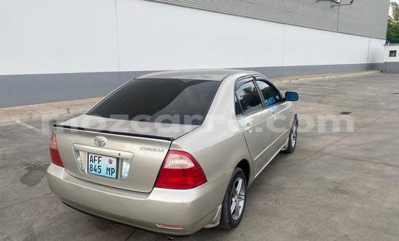 Tenga Tsaru Toyota Corolla Zvimwe Mota in Maputo in Maputo