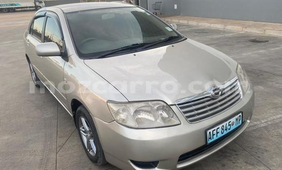 Buy Used Toyota Corolla Other Car in Maputo in Maputo Buy Used Toyota Corolla Other Car in Maputo in Maputo