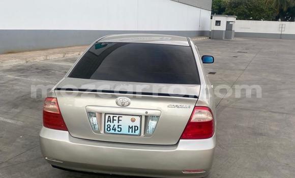 Buy Used Toyota Corolla Other Car in Maputo in Maputo Buy Used Toyota Corolla Other Car in Maputo in Maputo