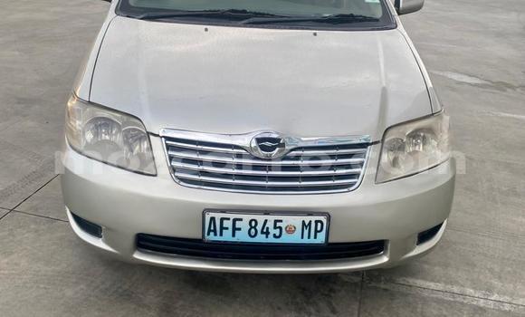 Buy Used Toyota Corolla Other Car in Maputo in Maputo Buy Used Toyota Corolla Other Car in Maputo in Maputo