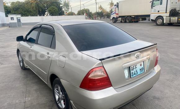 Buy Used Toyota Corolla Other Car in Maputo in Maputo Buy Used Toyota Corolla Other Car in Maputo in Maputo