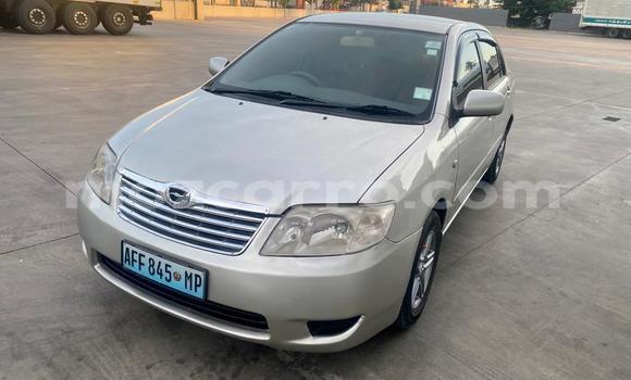 Buy Used Toyota Corolla Other Car in Maputo in Maputo Buy Used Toyota Corolla Other Car in Maputo in Maputo