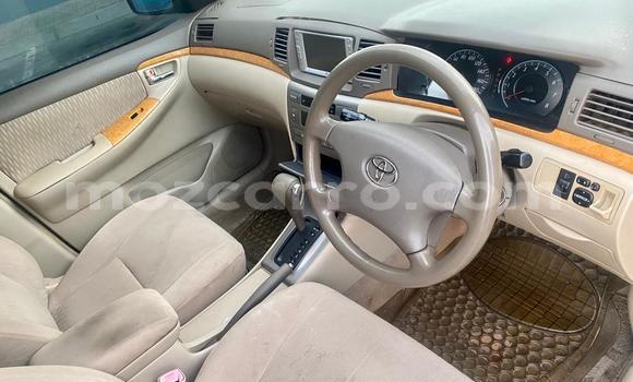Buy Used Toyota Corolla Other Car in Maputo in Maputo Buy Used Toyota Corolla Other Car in Maputo in Maputo