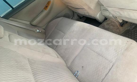 Buy Used Toyota Corolla Other Car in Maputo in Maputo Buy Used Toyota Corolla Other Car in Maputo in Maputo